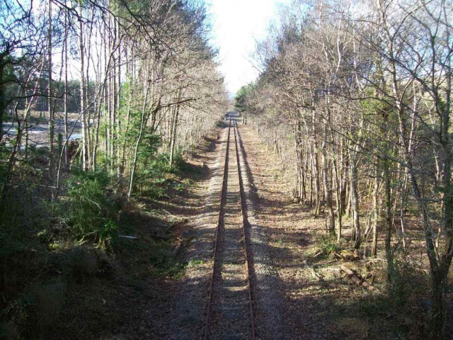 Moretonhampstead Branch