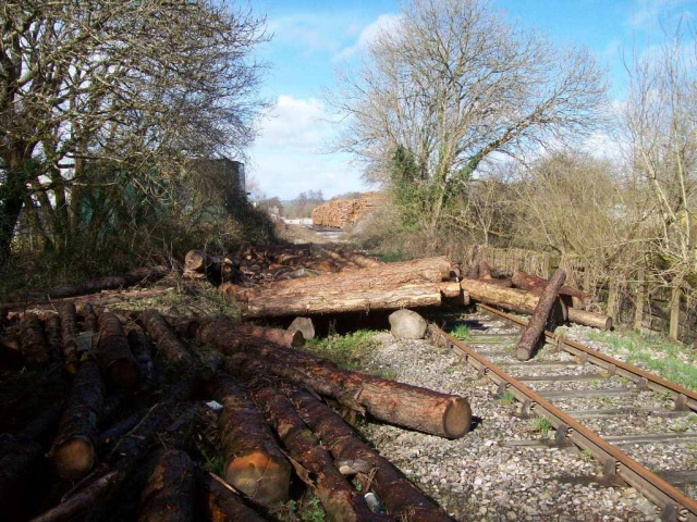 Moretonhampstead Branch