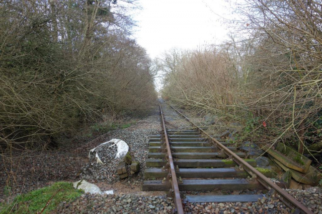 Moretonhampstead Branch