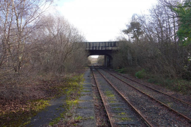 Moretonhampstead Branch