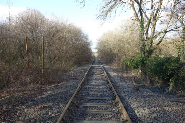 Moretonhampstead Branch