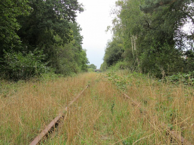 Moretonhampstead Branch