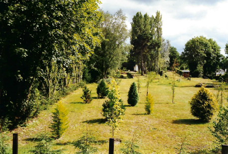 Christow Station