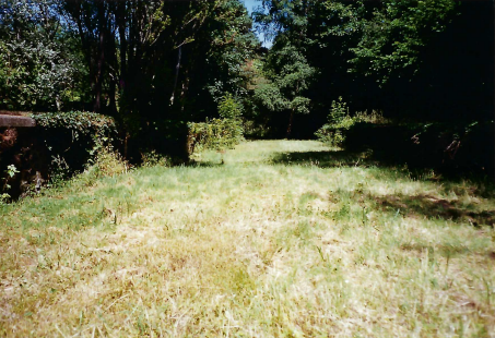 Christow Station