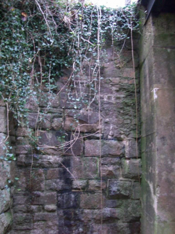 Callington Branch