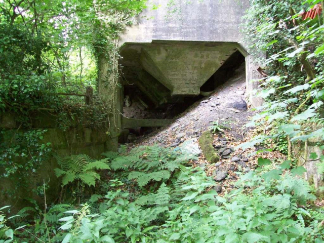 Callington Branch