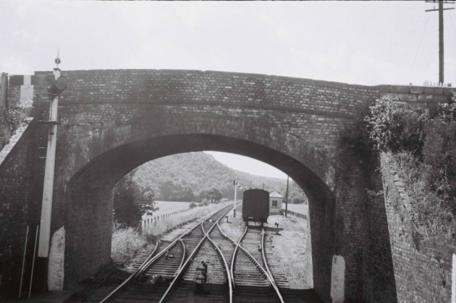 Teign Valley Branch