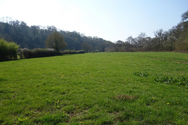 Teign Valley Branch