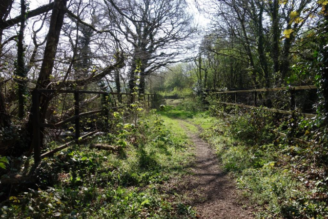 Teign Valley Branch