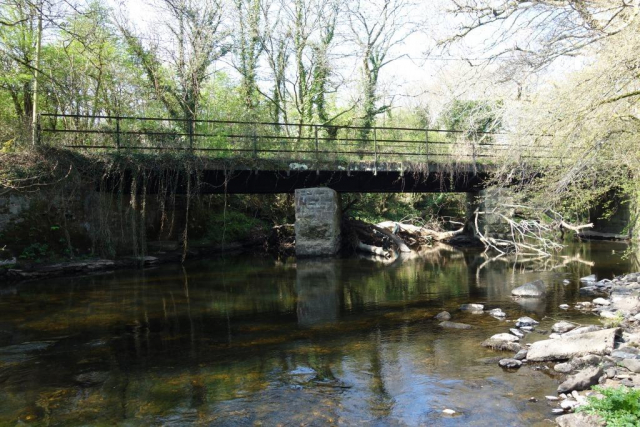 Teign Valley Branch