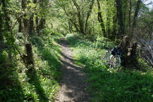 Teign Valley Branch