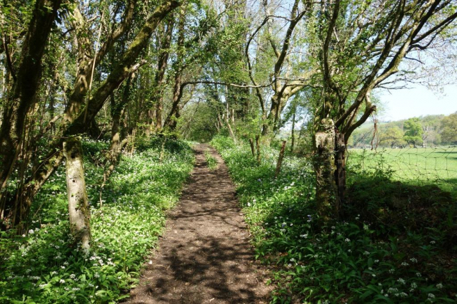 Teign Valley Branch
