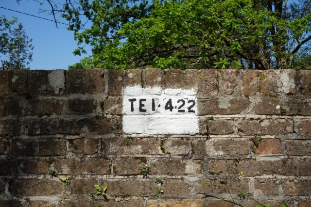Teign Valley Branch