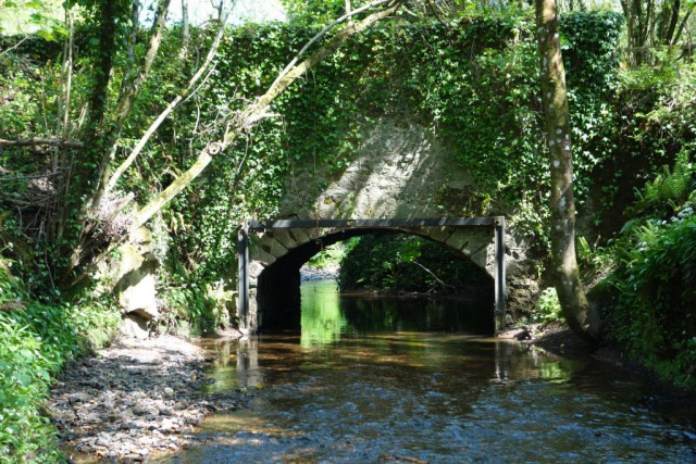 Teign Valley Branch