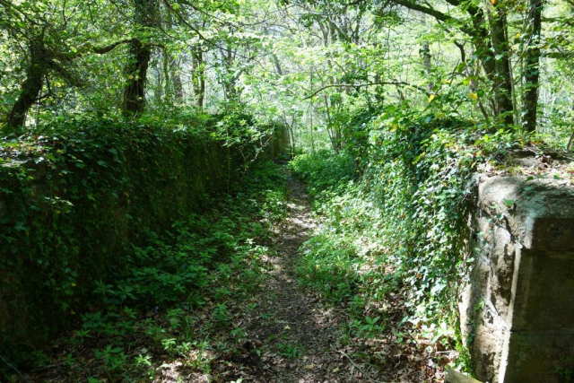 Moretonhampstead Branch