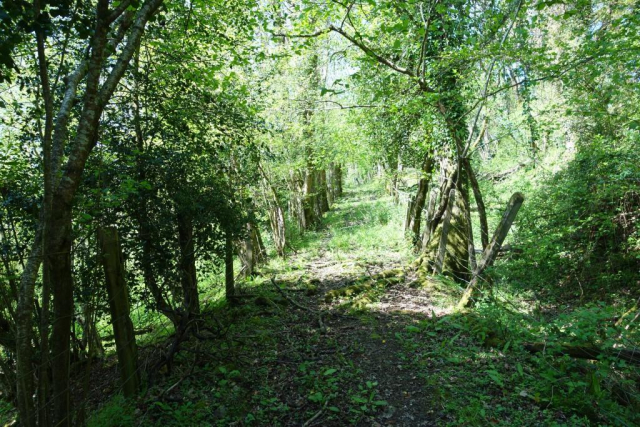 Moretonhampstead Branch