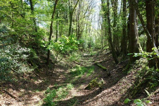 Moretonhampstead Branch