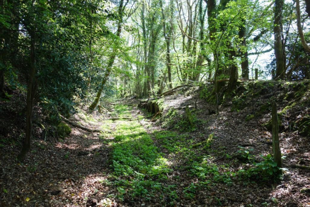 Moretonhampstead Branch