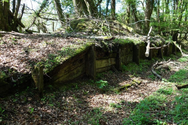 Moretonhampstead Branch