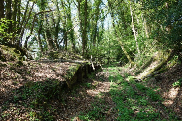 Moretonhampstead Branch