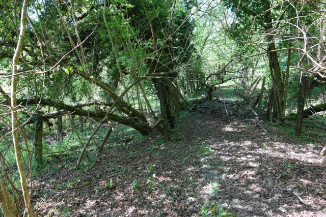 Moretonhampstead Branch