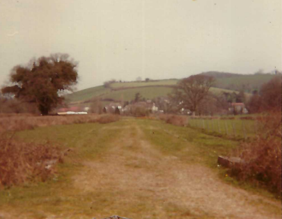 Teign Valley Branch