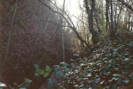 Teign Valley Branch