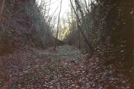Teign Valley Branch
