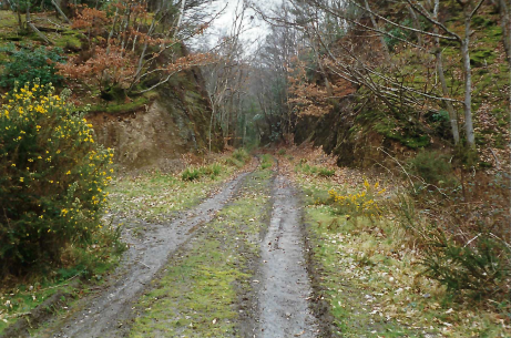Teign Valley Branch