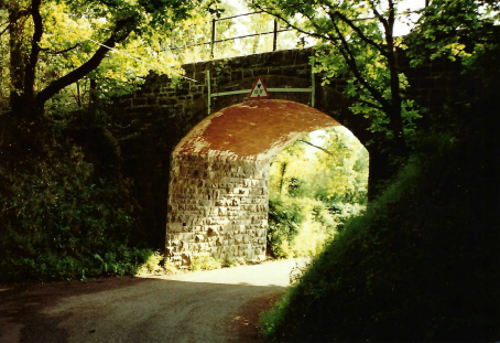 Teign Valley Branch