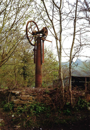 Teign Valley Branch