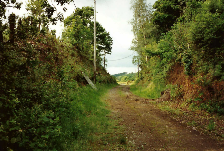 Teign Valley Branch