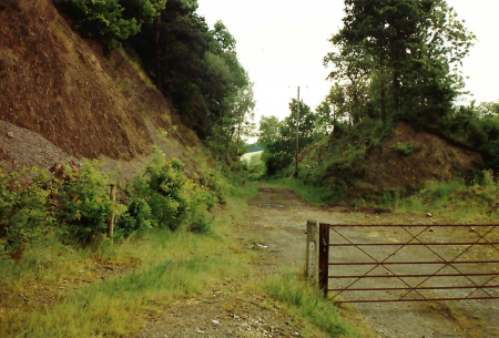 Teign Valley Branch