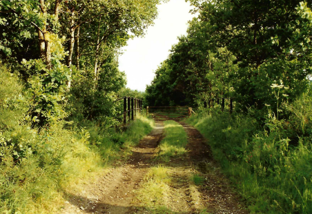 Teign Valley Branch