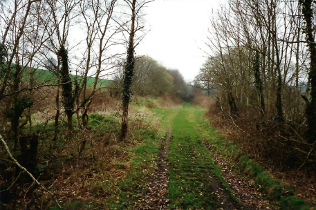 Teign Valley Branch
