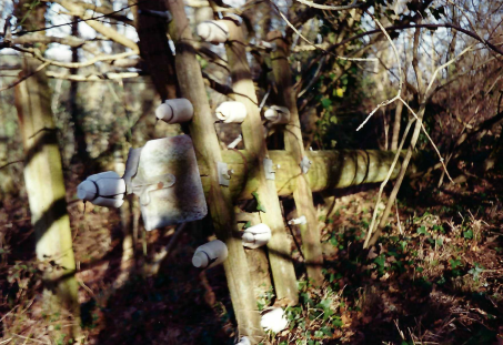 Teign Valley Branch