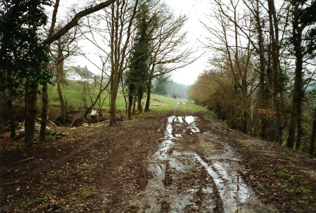 Teign Valley Branch