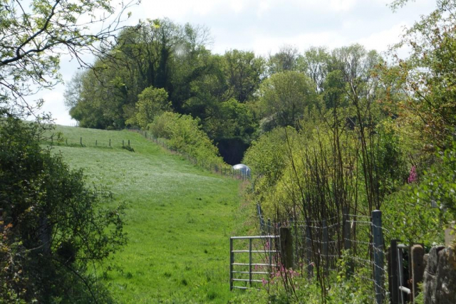 Ivybridge to Newton Abbot