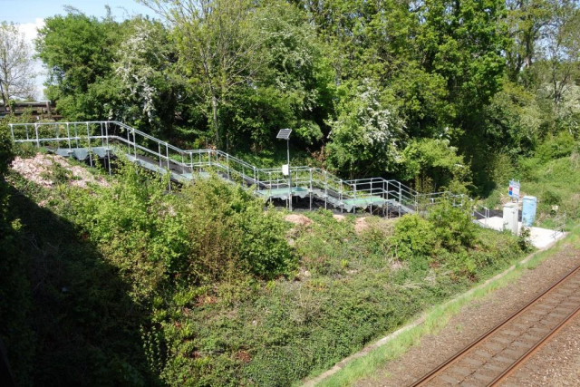 Ivybridge to Newton Abbot