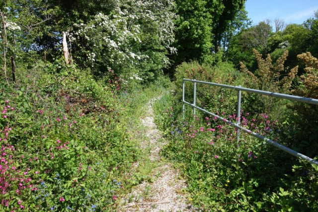 Newton Abbot to Totnes