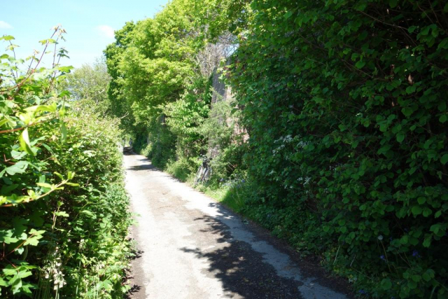 Newton Abbot to Totnes