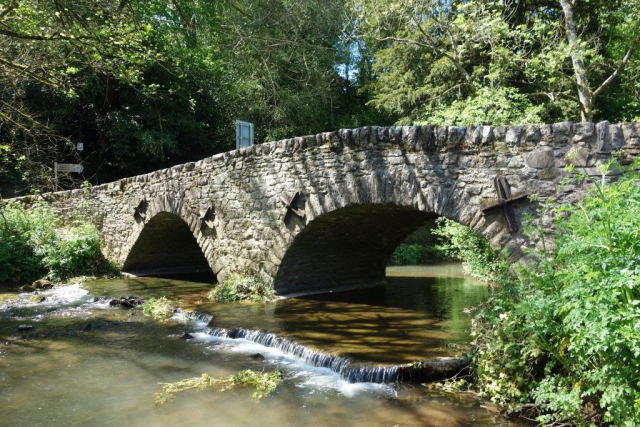 Newton Abbot to Totnes