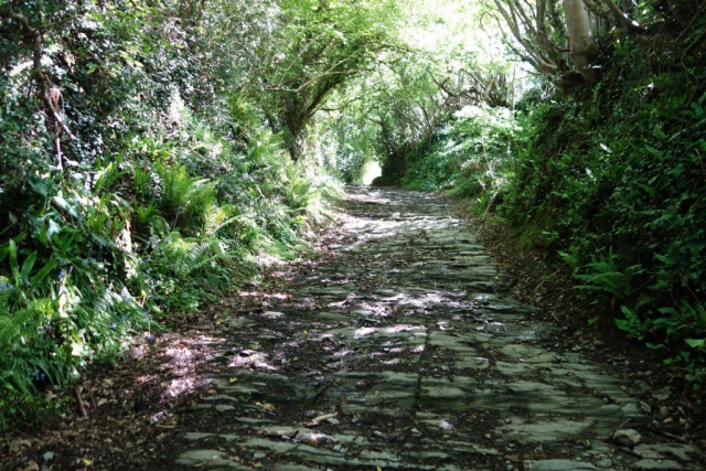 Newton Abbot to Totnes