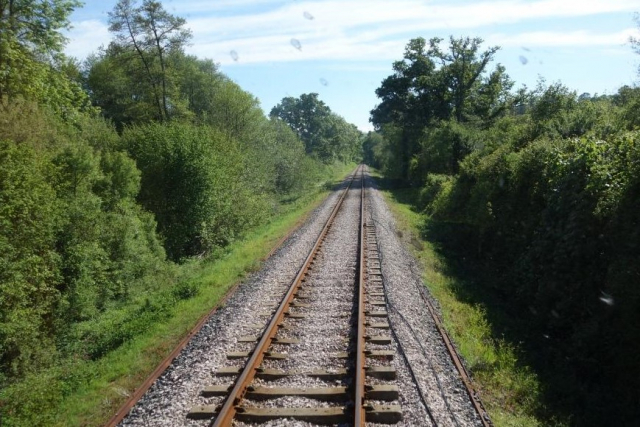 Newton Abbot to Totnes