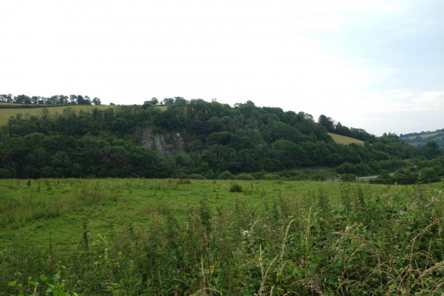 Ashburton Branch
