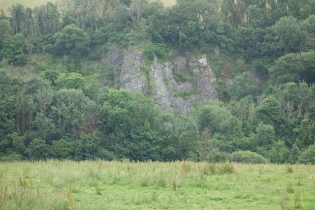 Ashburton Branch