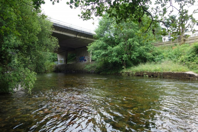Ashburton Branch