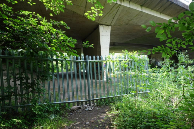 Ashburton Branch