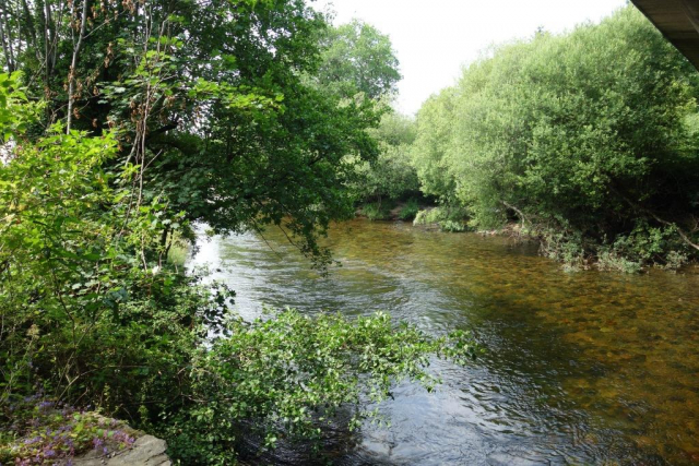 Ashburton Branch