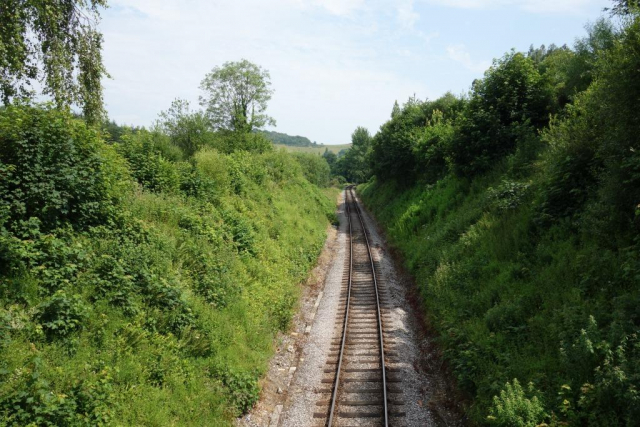Ashburton Branch